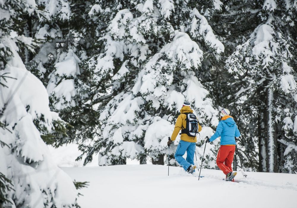 TVBStubaiTirol_AndreSchoenherr_Snowshoe_03_300dpi_print.jpg